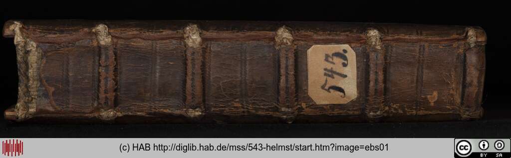http://diglib.hab.de/mss/543-helmst/ebs01.jpg
