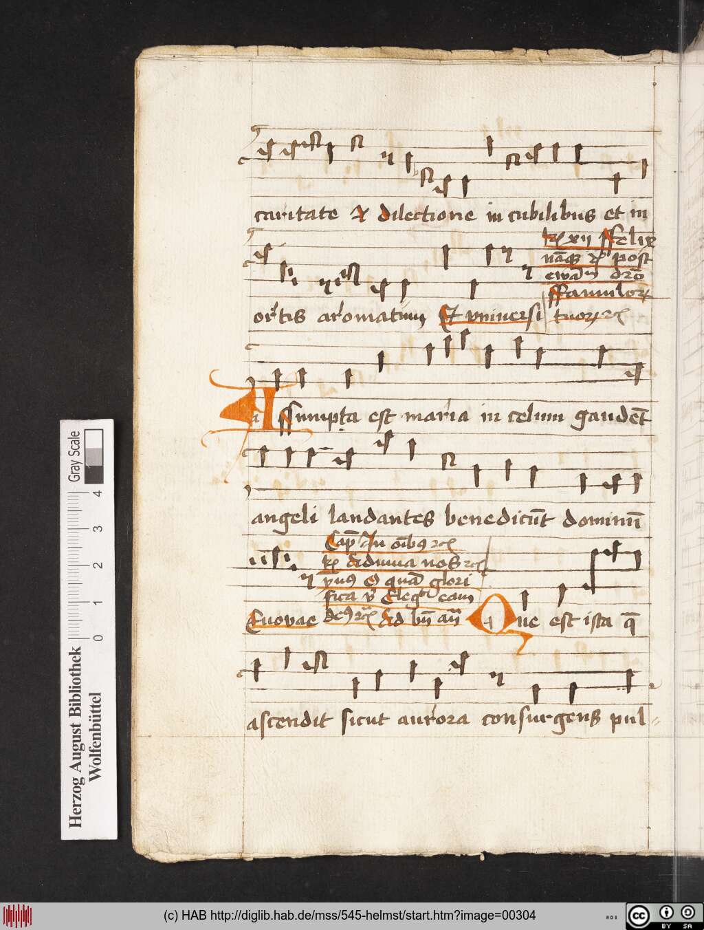 http://diglib.hab.de/mss/545-helmst/00304.jpg
