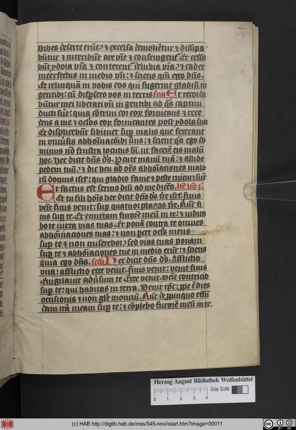 http://diglib.hab.de/mss/545-novi/00011.jpg