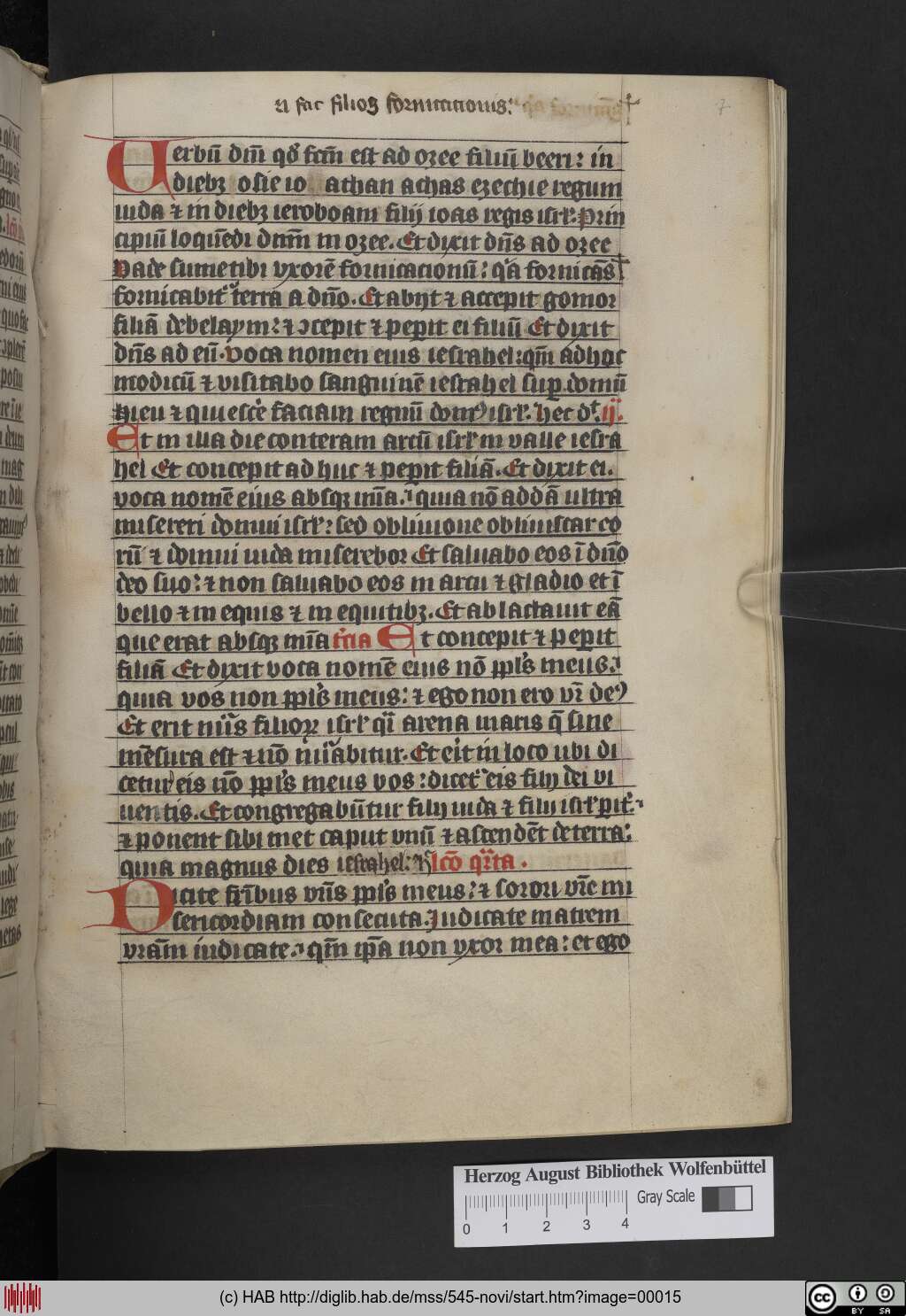 http://diglib.hab.de/mss/545-novi/00015.jpg
