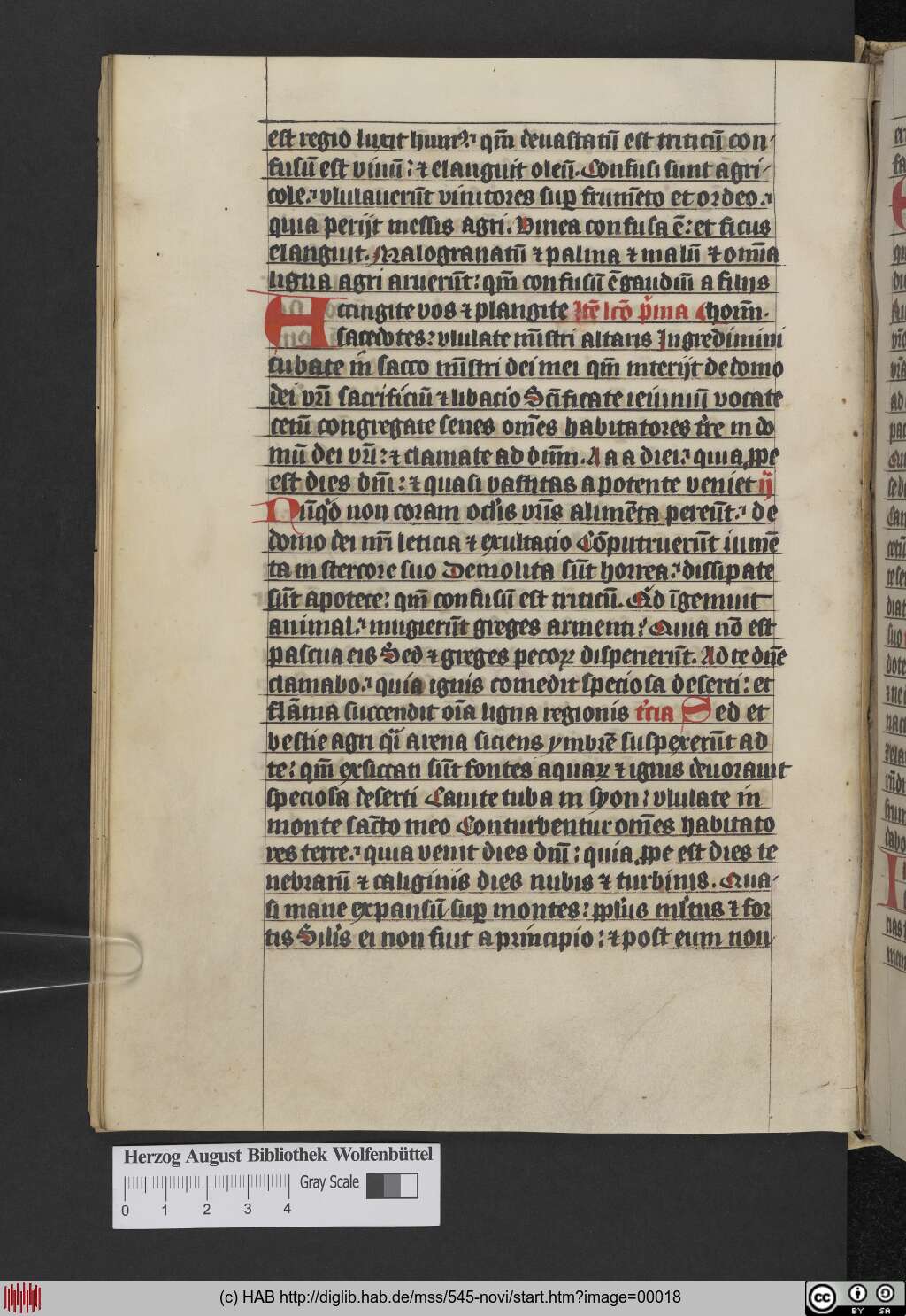 http://diglib.hab.de/mss/545-novi/00018.jpg