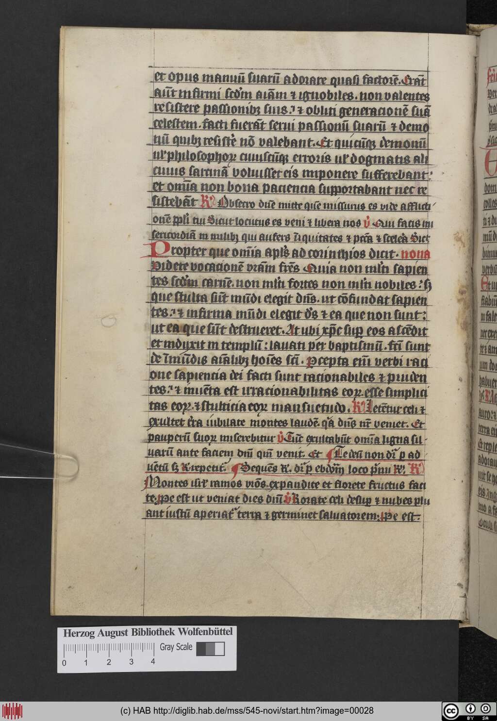 http://diglib.hab.de/mss/545-novi/00028.jpg