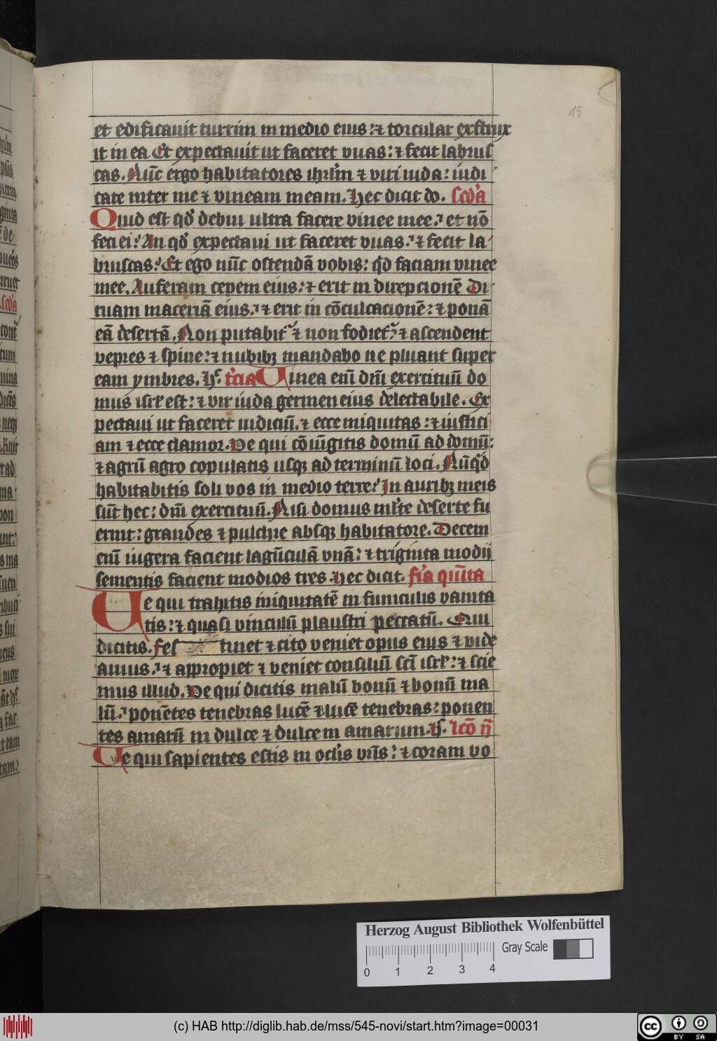http://diglib.hab.de/mss/545-novi/00031.jpg