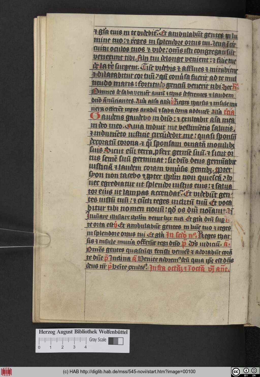 http://diglib.hab.de/mss/545-novi/00100.jpg