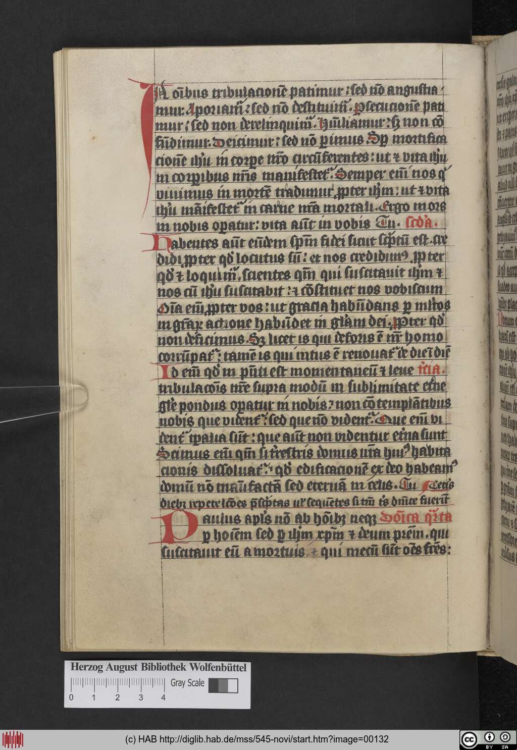 http://diglib.hab.de/mss/545-novi/00132.jpg