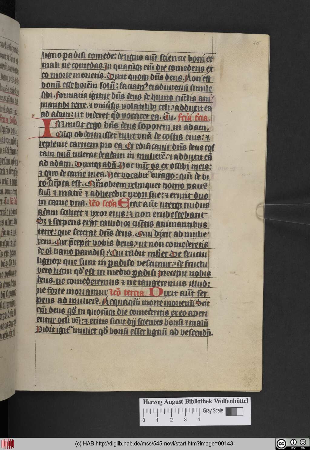 http://diglib.hab.de/mss/545-novi/00143.jpg