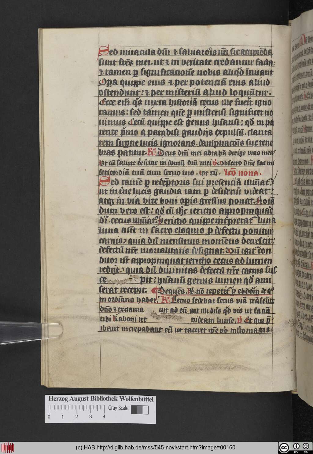 http://diglib.hab.de/mss/545-novi/00160.jpg