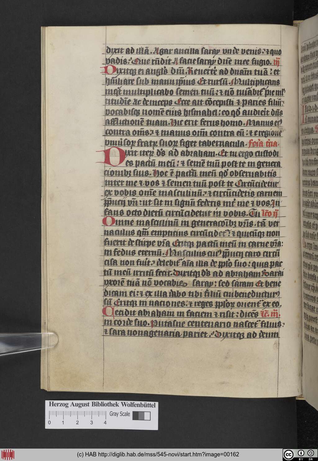 http://diglib.hab.de/mss/545-novi/00162.jpg