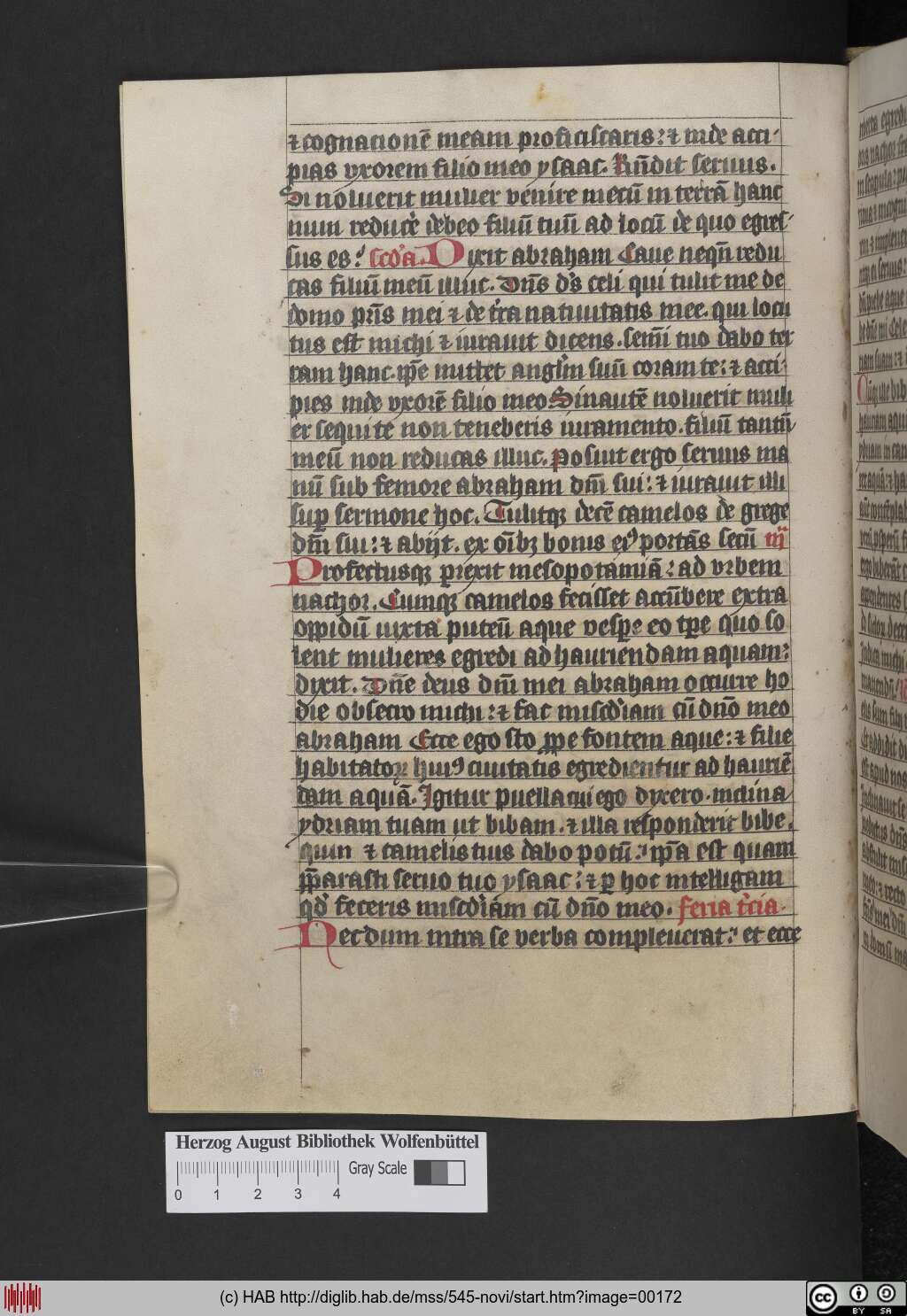 http://diglib.hab.de/mss/545-novi/00172.jpg