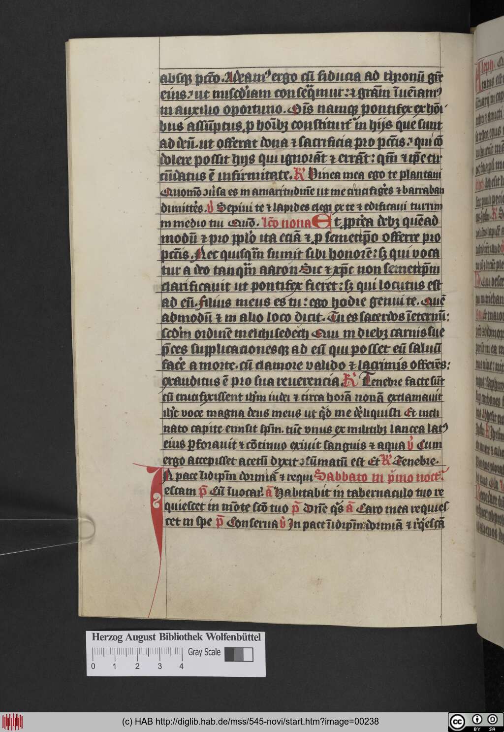 http://diglib.hab.de/mss/545-novi/00238.jpg