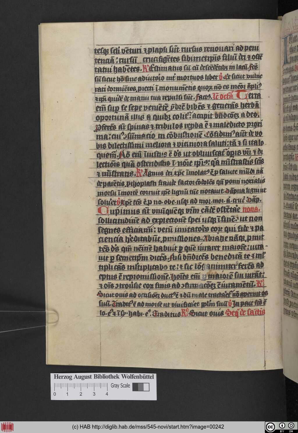 http://diglib.hab.de/mss/545-novi/00242.jpg
