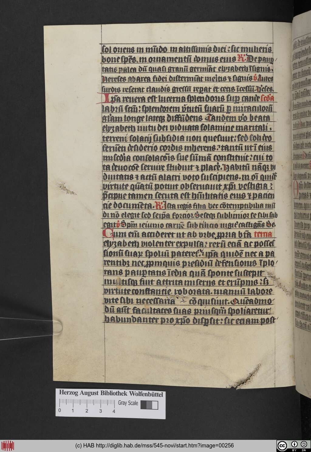 http://diglib.hab.de/mss/545-novi/00256.jpg