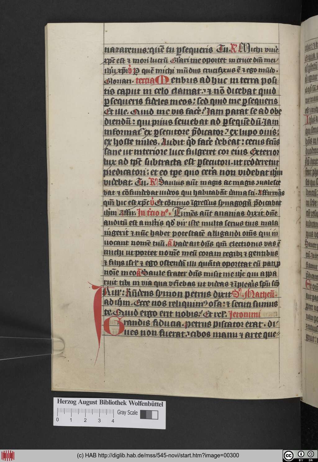 http://diglib.hab.de/mss/545-novi/00300.jpg