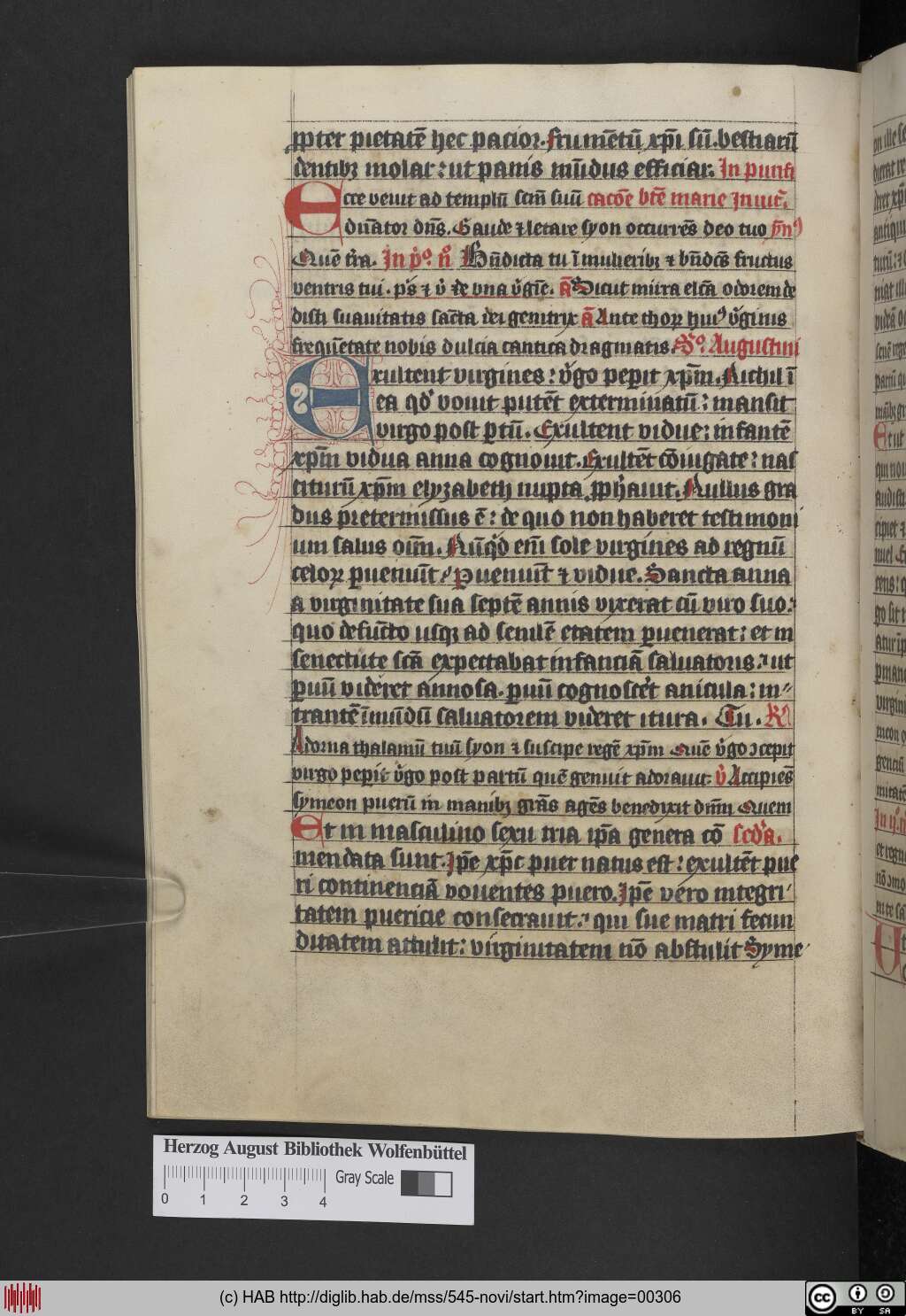 http://diglib.hab.de/mss/545-novi/00306.jpg