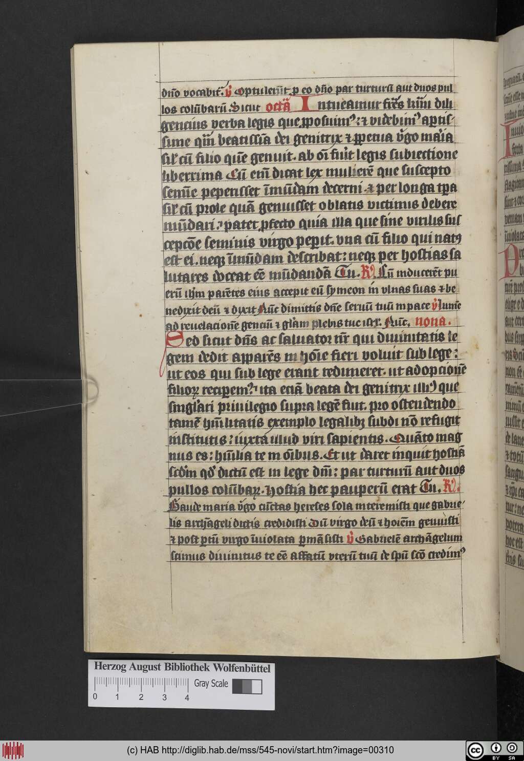 http://diglib.hab.de/mss/545-novi/00310.jpg