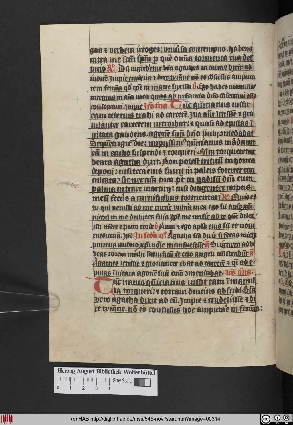 http://diglib.hab.de/mss/545-novi/00314.jpg