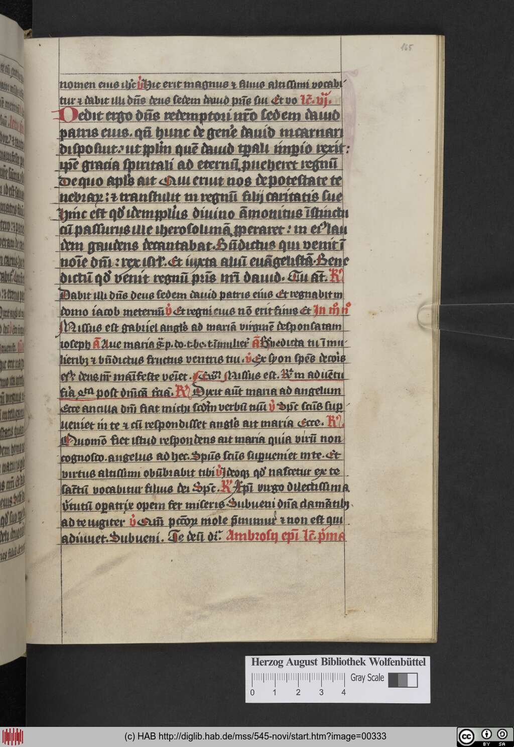 http://diglib.hab.de/mss/545-novi/00333.jpg