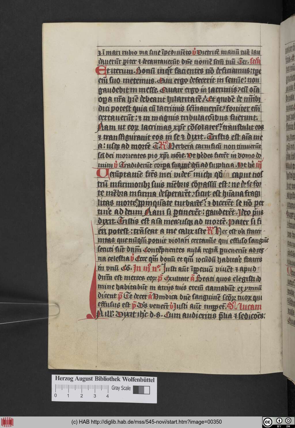 http://diglib.hab.de/mss/545-novi/00350.jpg