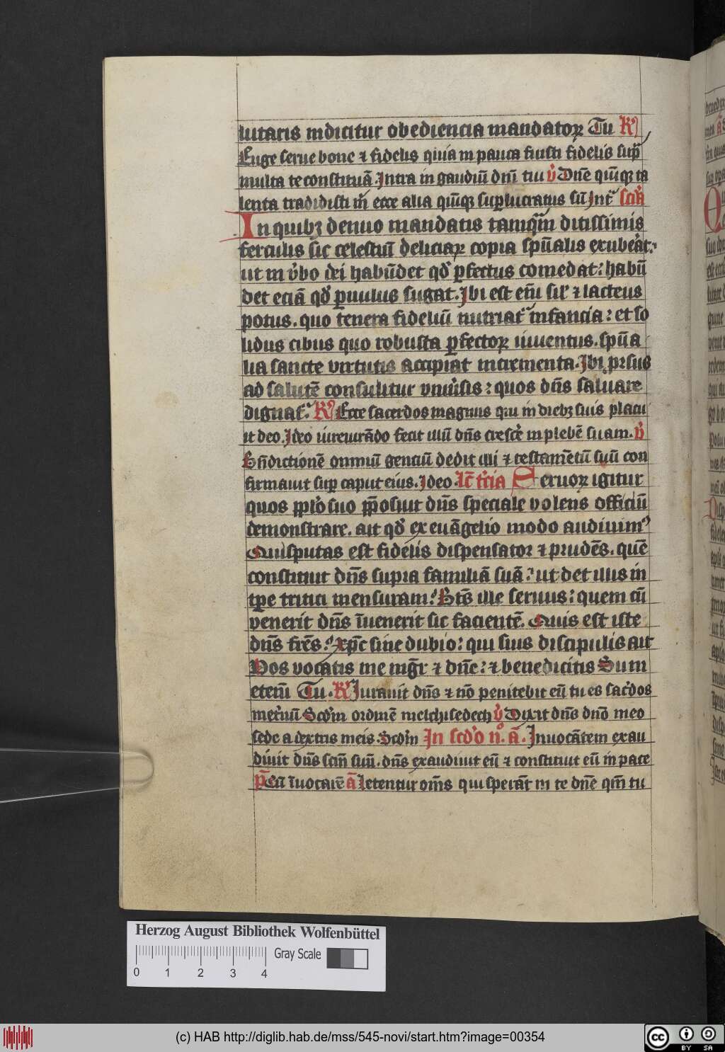 http://diglib.hab.de/mss/545-novi/00354.jpg
