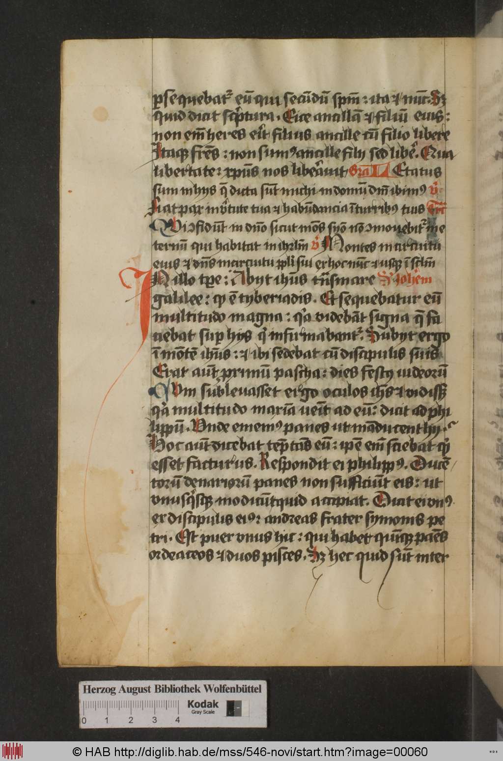 http://diglib.hab.de/mss/546-novi/00060.jpg