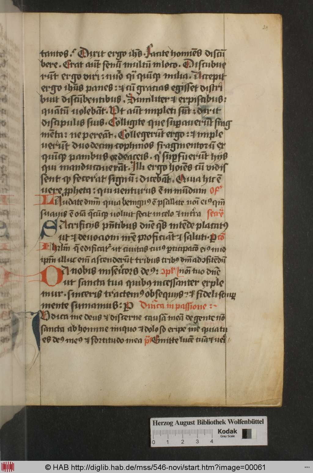 http://diglib.hab.de/mss/546-novi/00061.jpg
