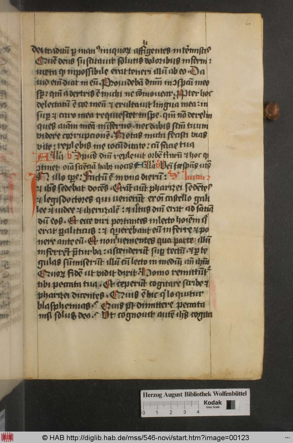 http://diglib.hab.de/mss/546-novi/00123.jpg