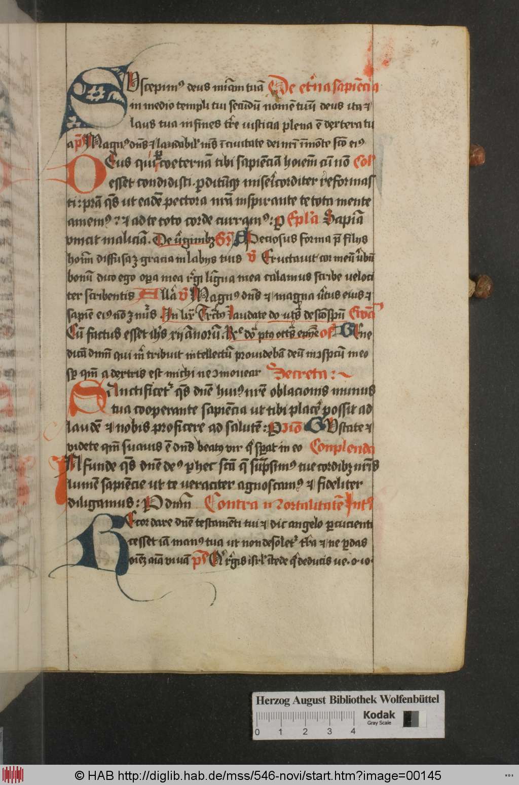 http://diglib.hab.de/mss/546-novi/00145.jpg