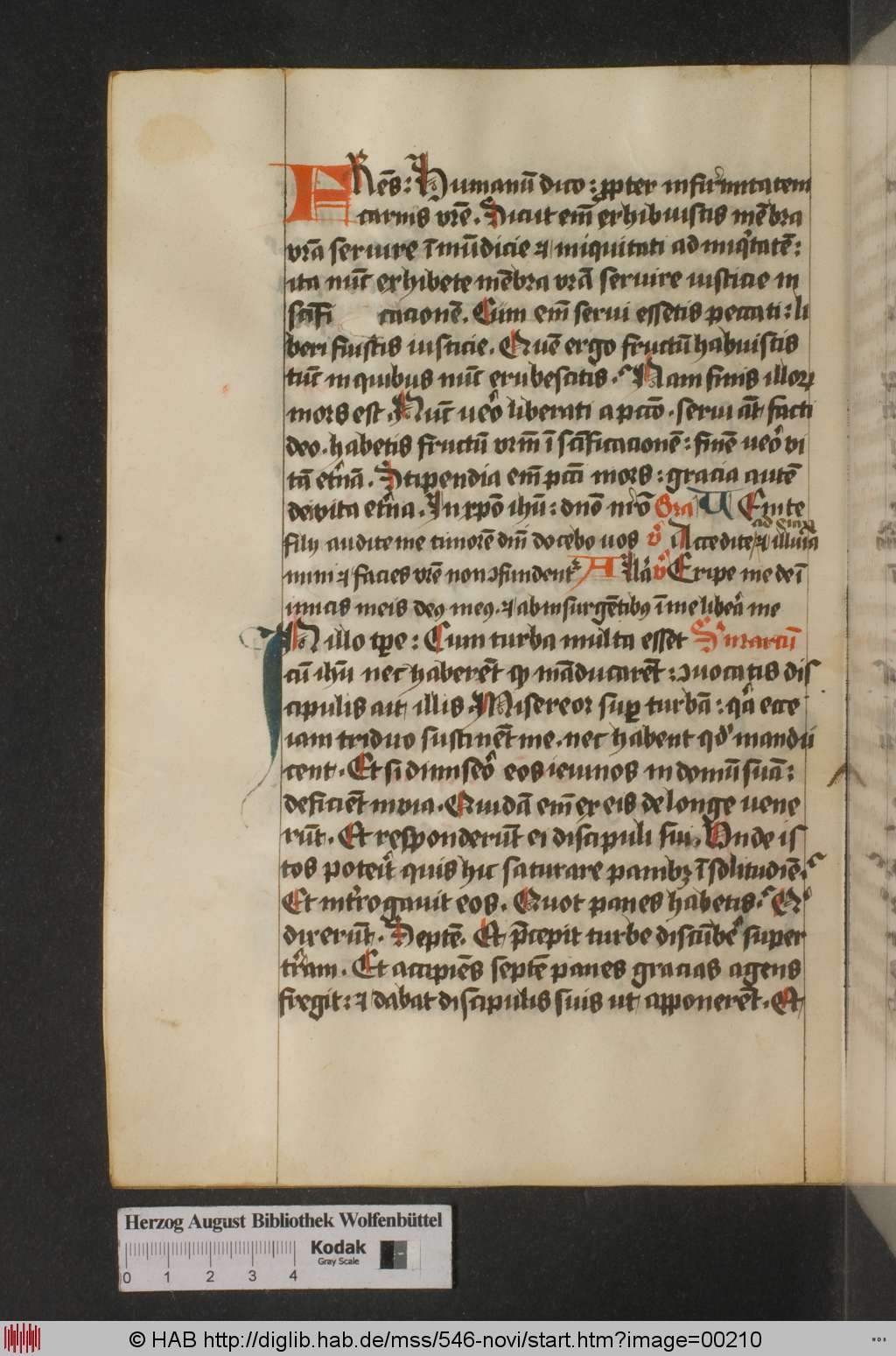 http://diglib.hab.de/mss/546-novi/00210.jpg