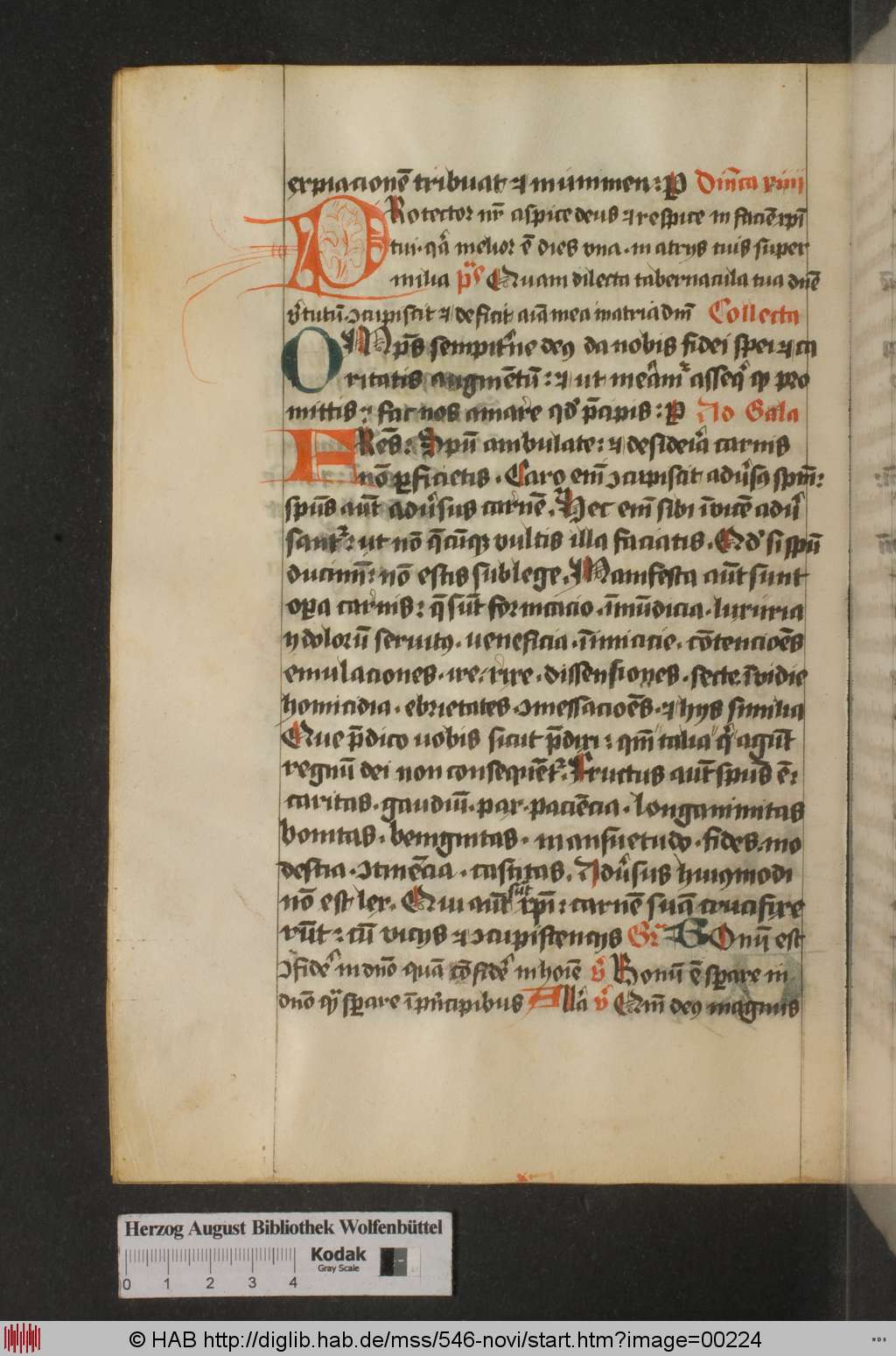 http://diglib.hab.de/mss/546-novi/00224.jpg