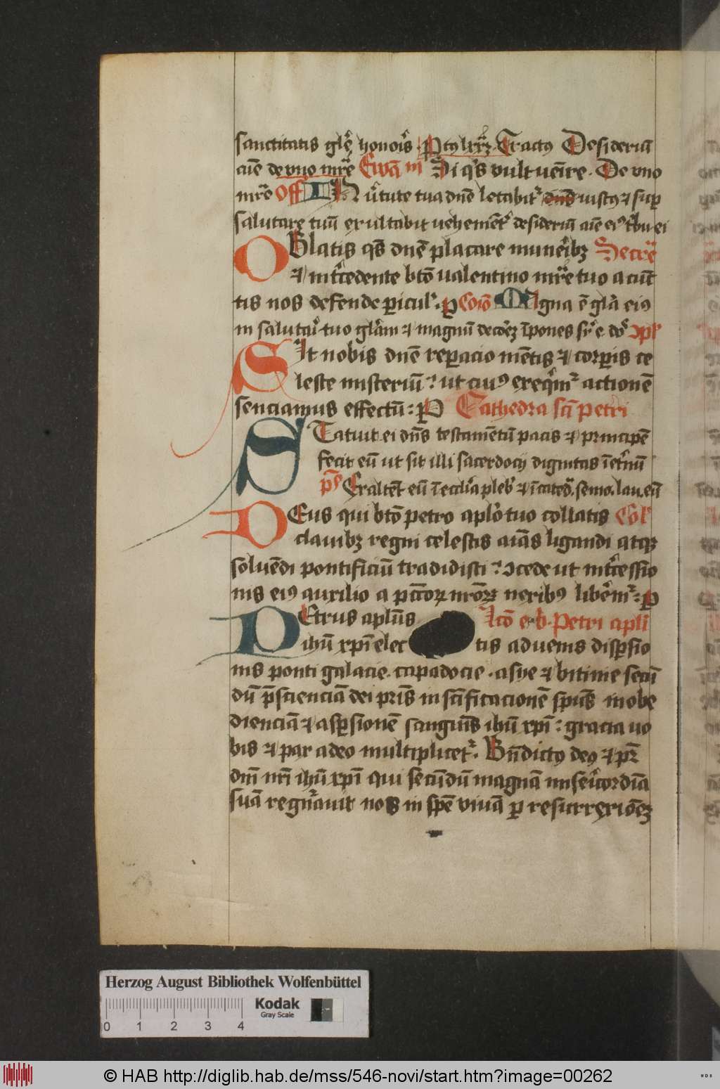 http://diglib.hab.de/mss/546-novi/00262.jpg