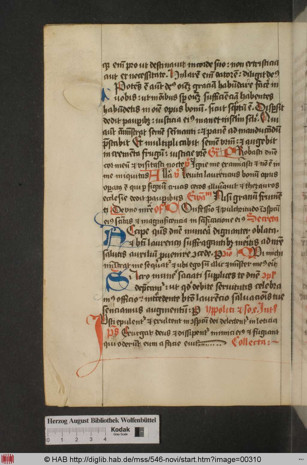 http://diglib.hab.de/mss/546-novi/00310.jpg