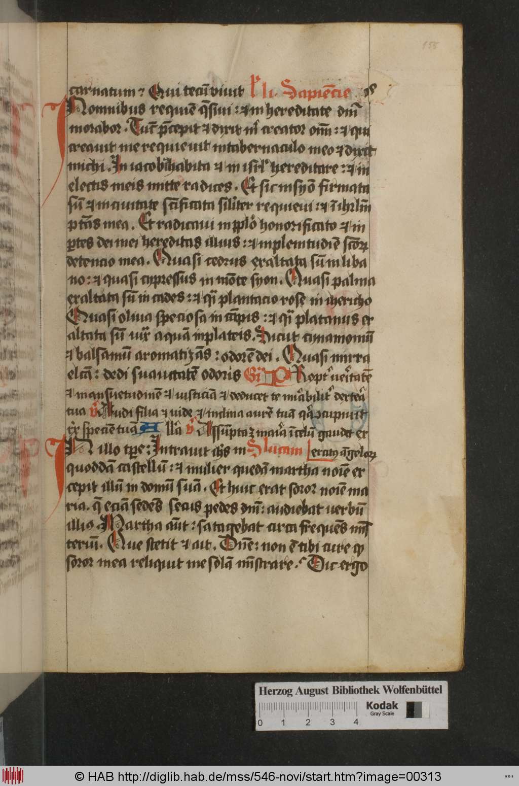 http://diglib.hab.de/mss/546-novi/00313.jpg