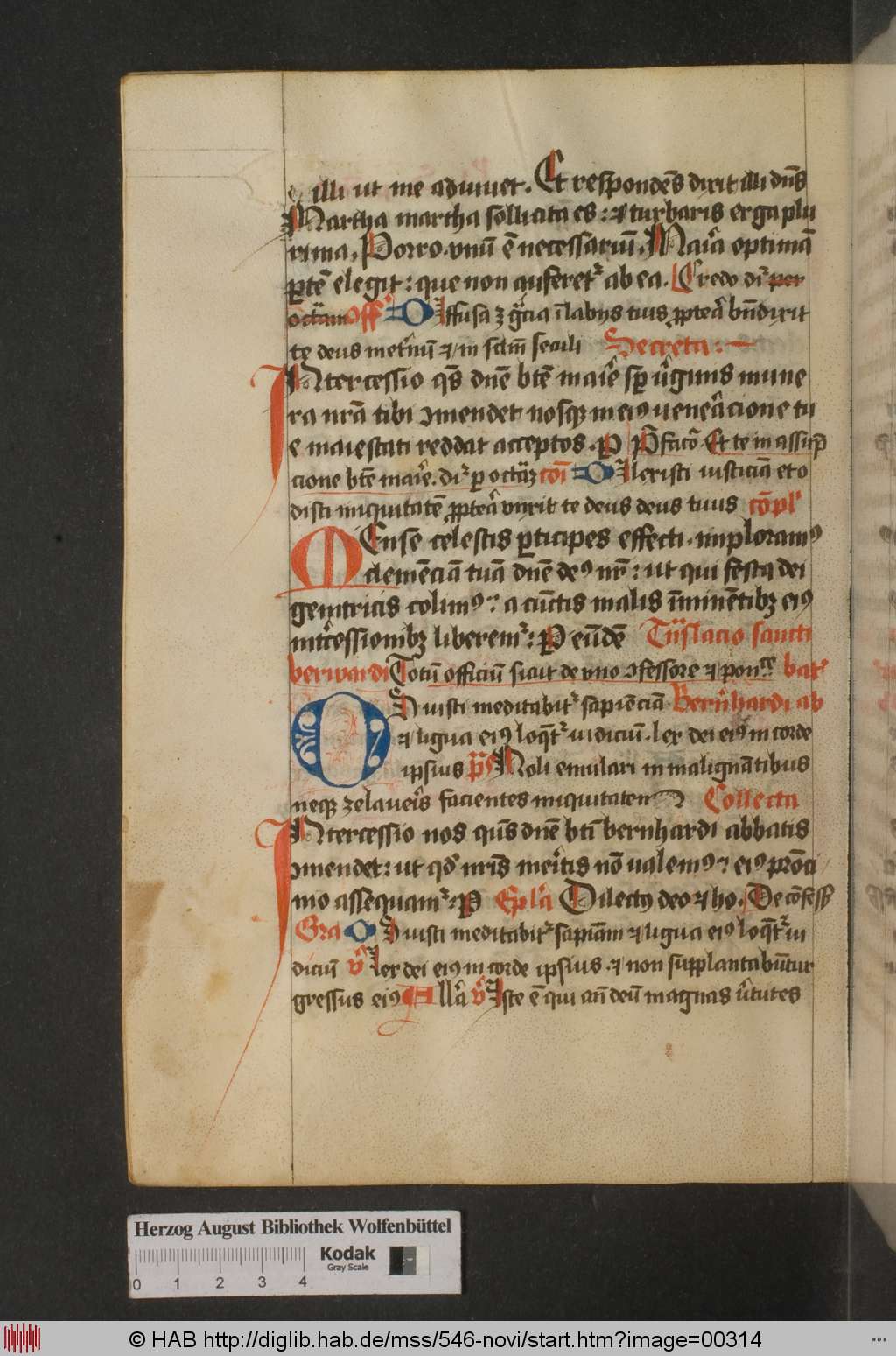 http://diglib.hab.de/mss/546-novi/00314.jpg