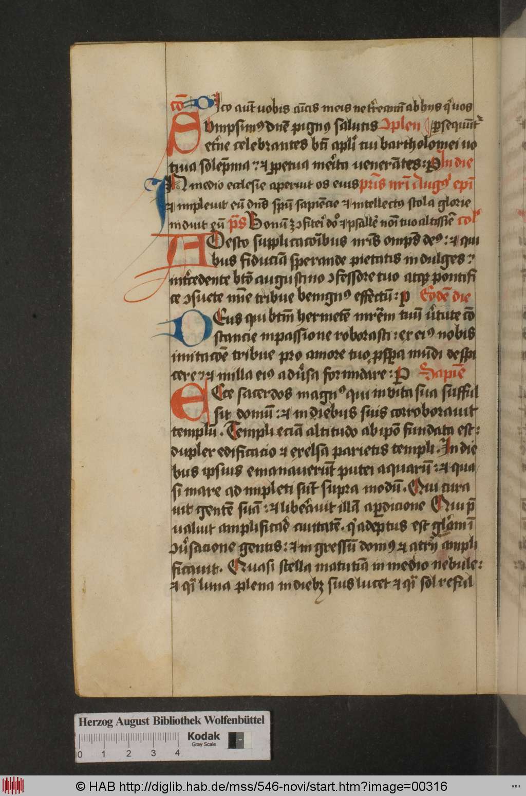 http://diglib.hab.de/mss/546-novi/00316.jpg