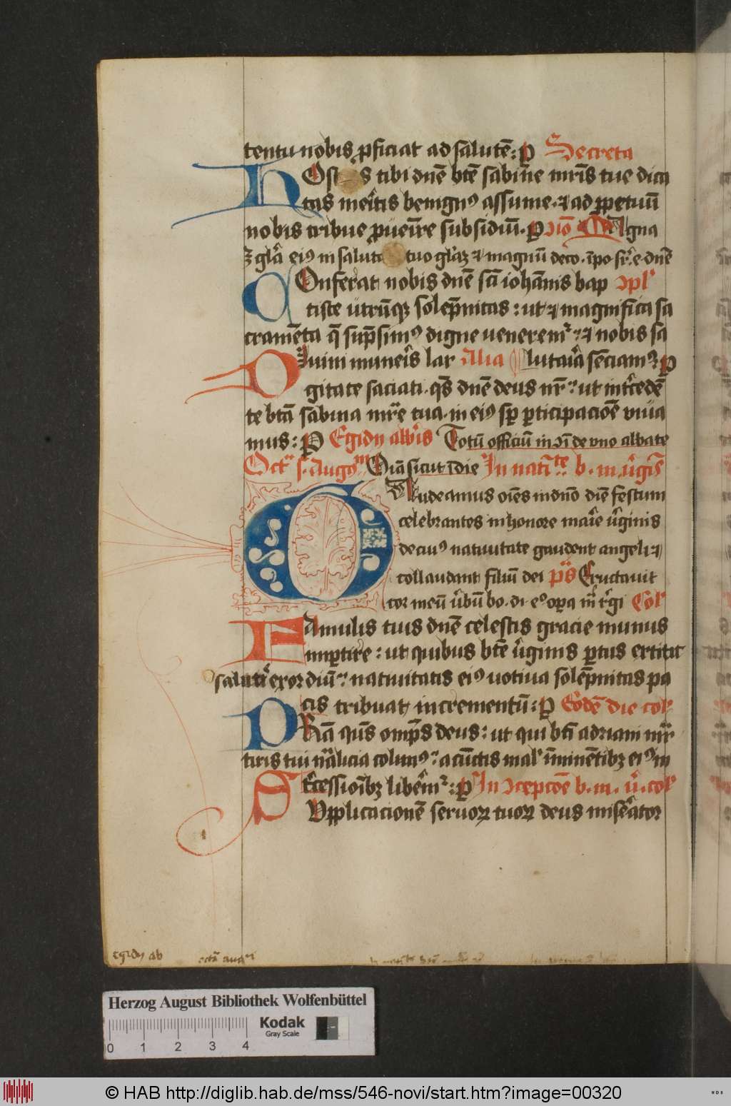 http://diglib.hab.de/mss/546-novi/00320.jpg