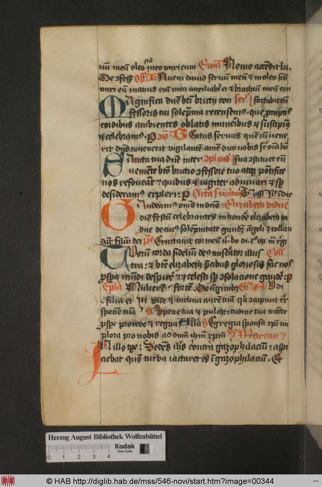 http://diglib.hab.de/mss/546-novi/00344.jpg