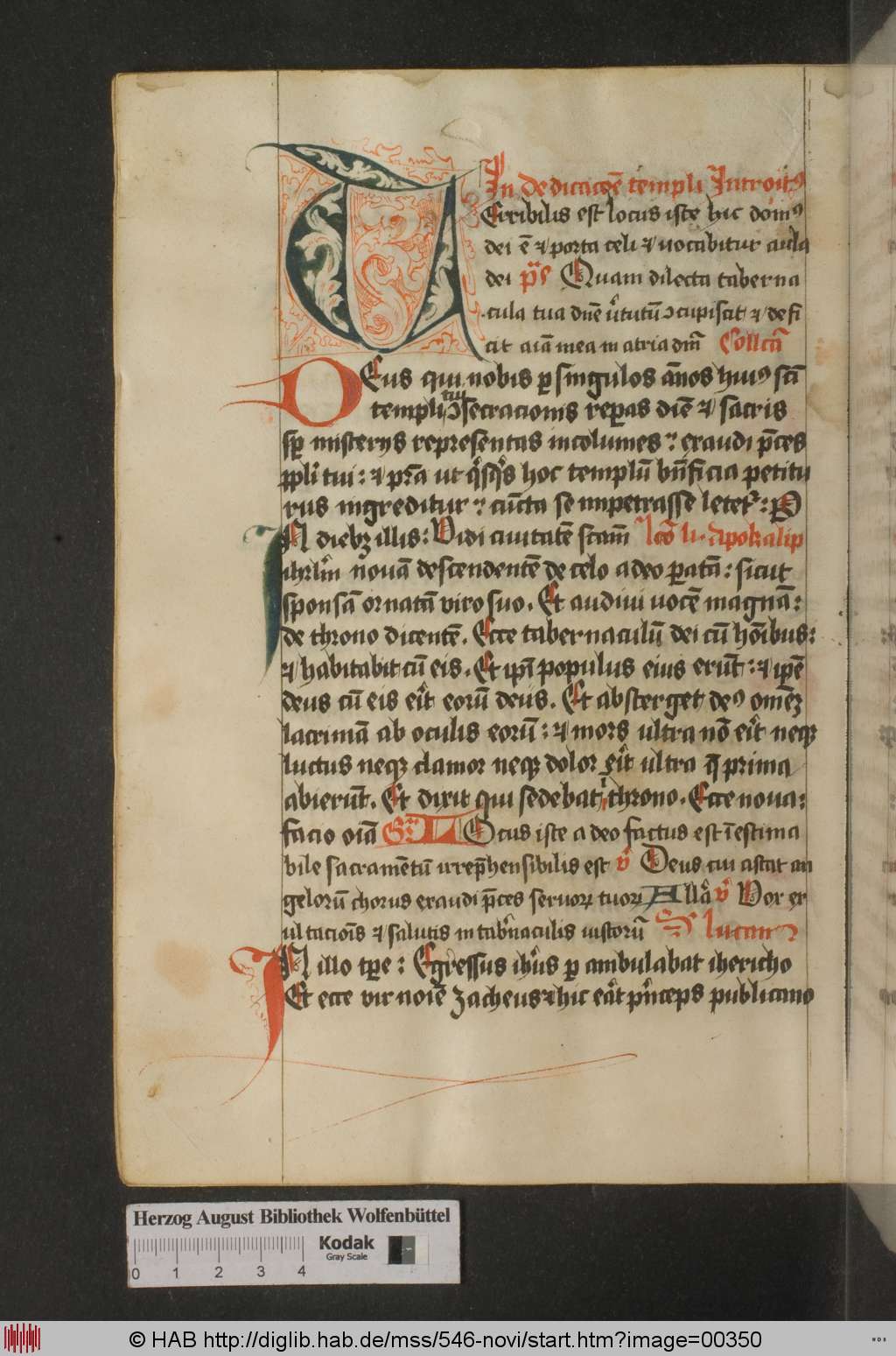 http://diglib.hab.de/mss/546-novi/00350.jpg