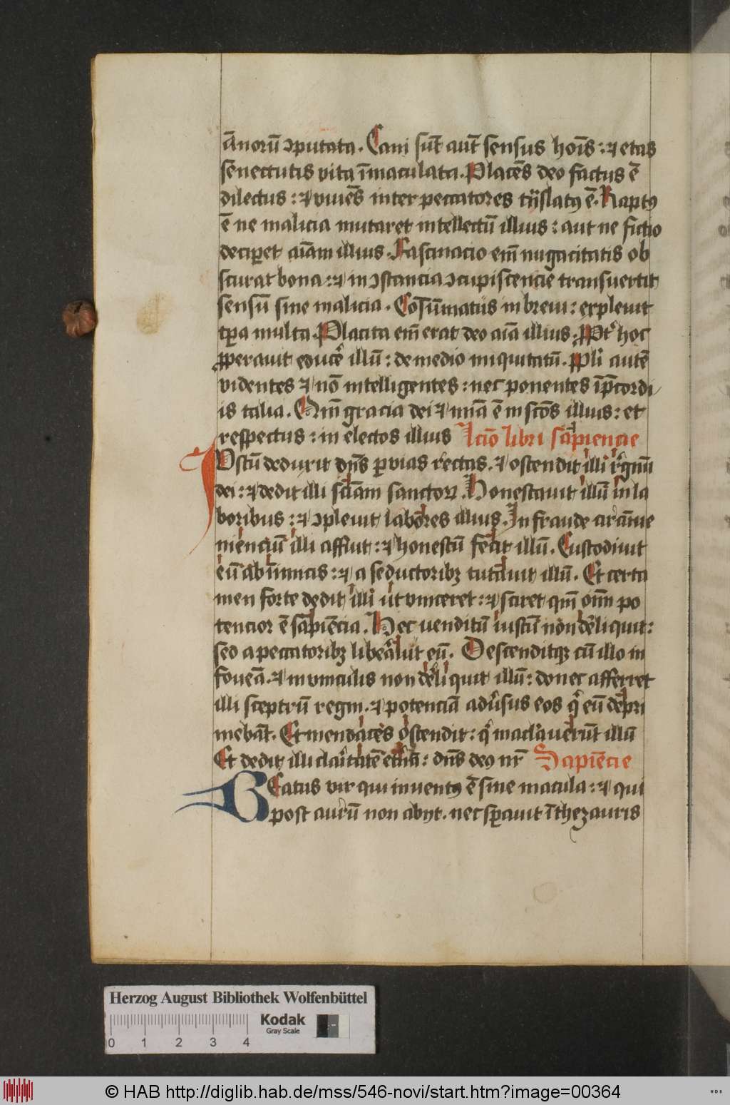http://diglib.hab.de/mss/546-novi/00364.jpg