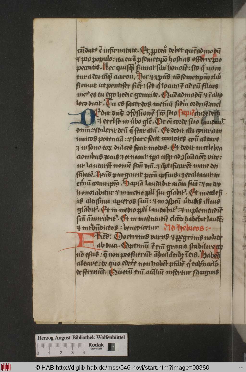 http://diglib.hab.de/mss/546-novi/00380.jpg