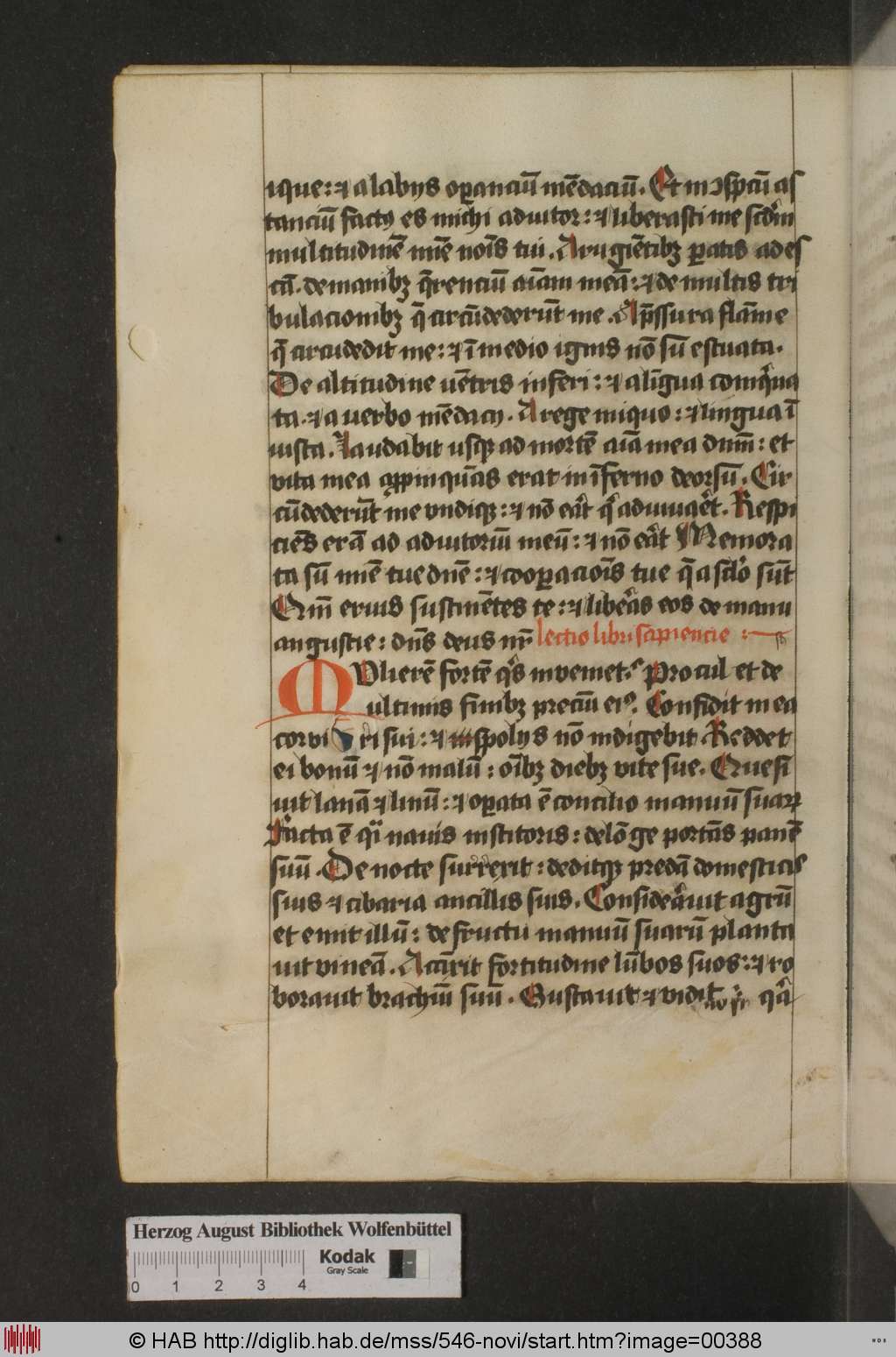 http://diglib.hab.de/mss/546-novi/00388.jpg
