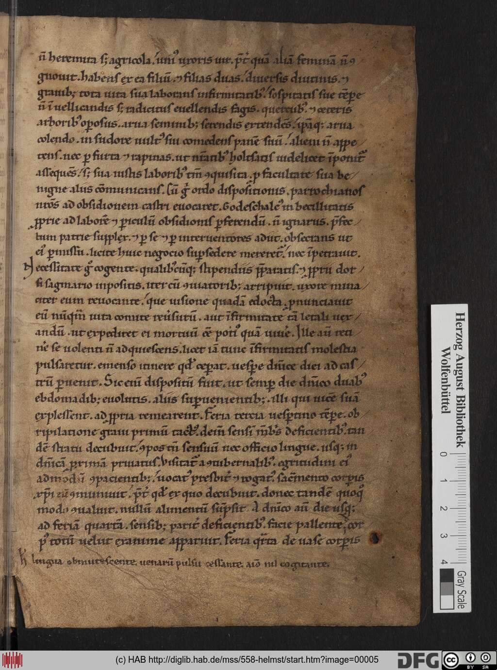 http://diglib.hab.de/mss/558-helmst/00005.jpg