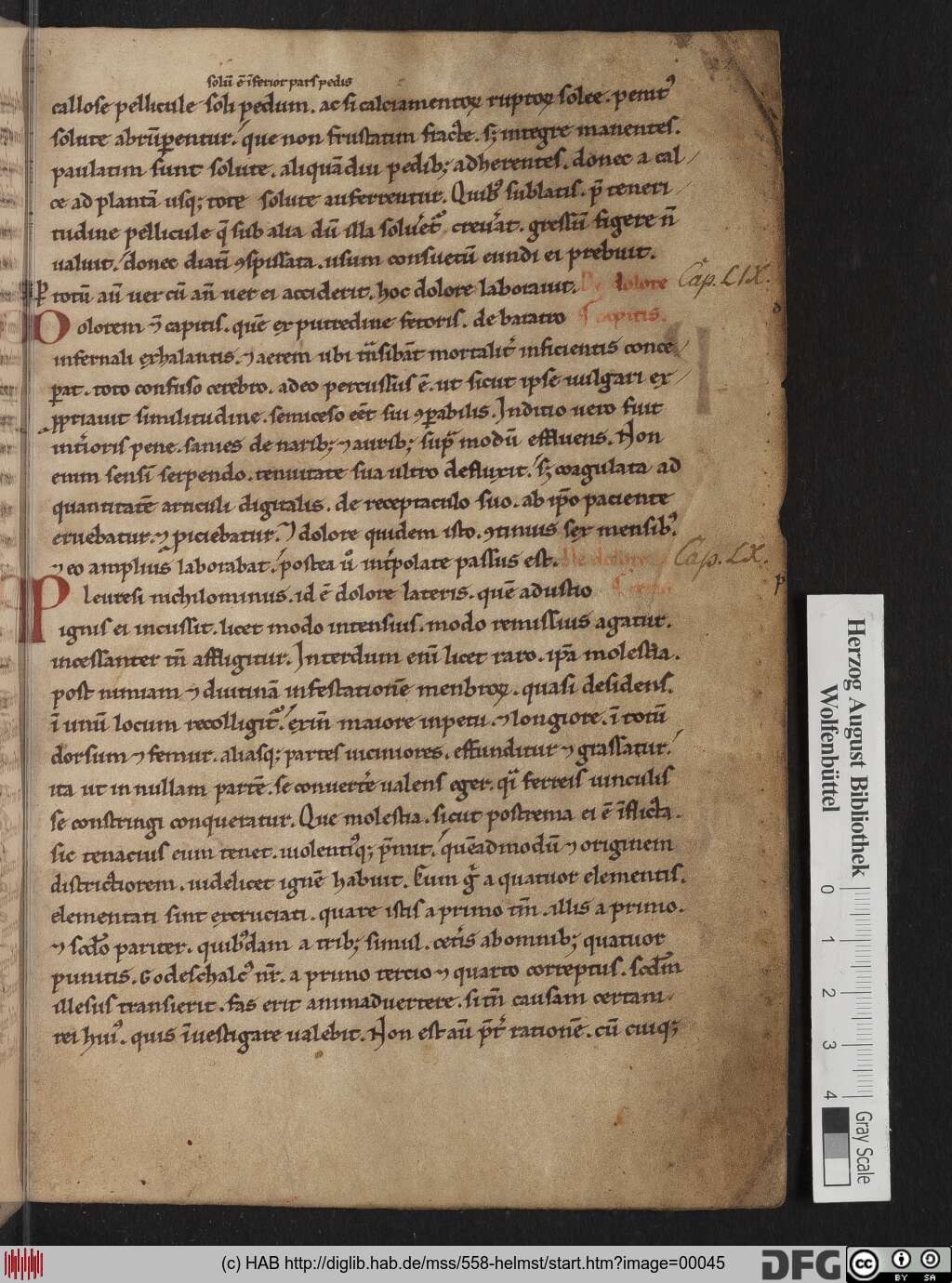 http://diglib.hab.de/mss/558-helmst/00045.jpg