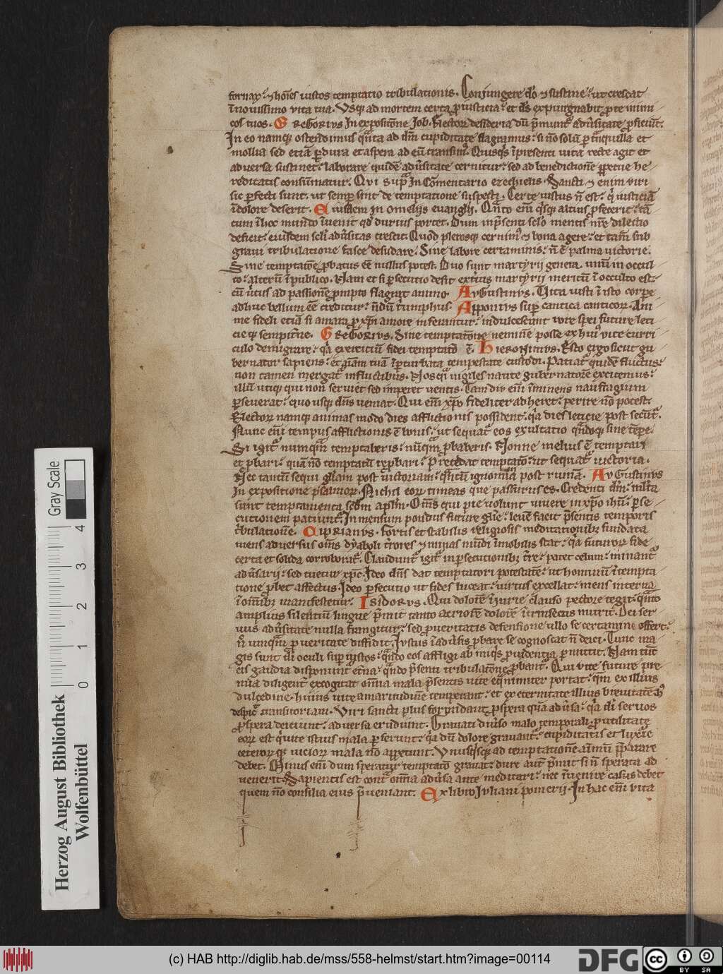 http://diglib.hab.de/mss/558-helmst/00114.jpg