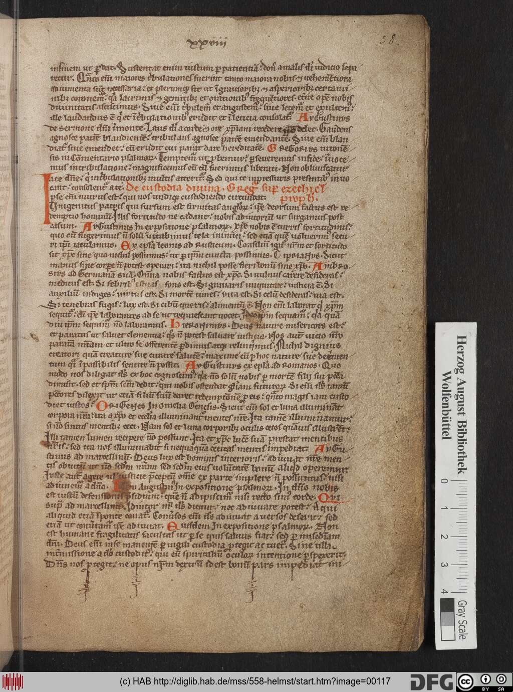 http://diglib.hab.de/mss/558-helmst/00117.jpg