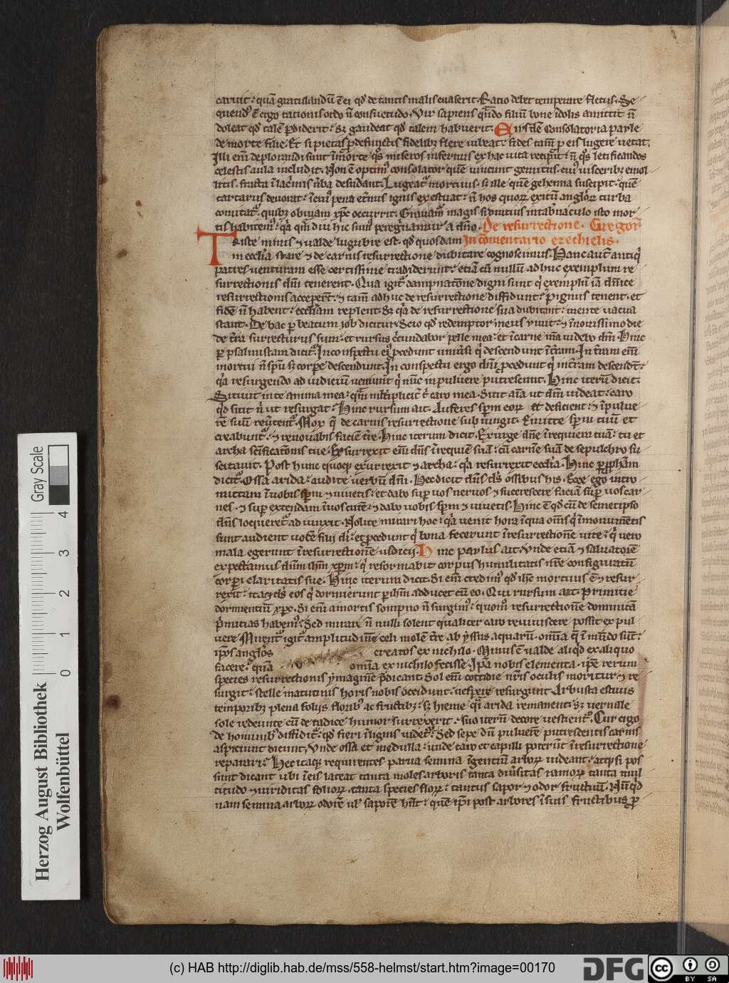 http://diglib.hab.de/mss/558-helmst/00170.jpg