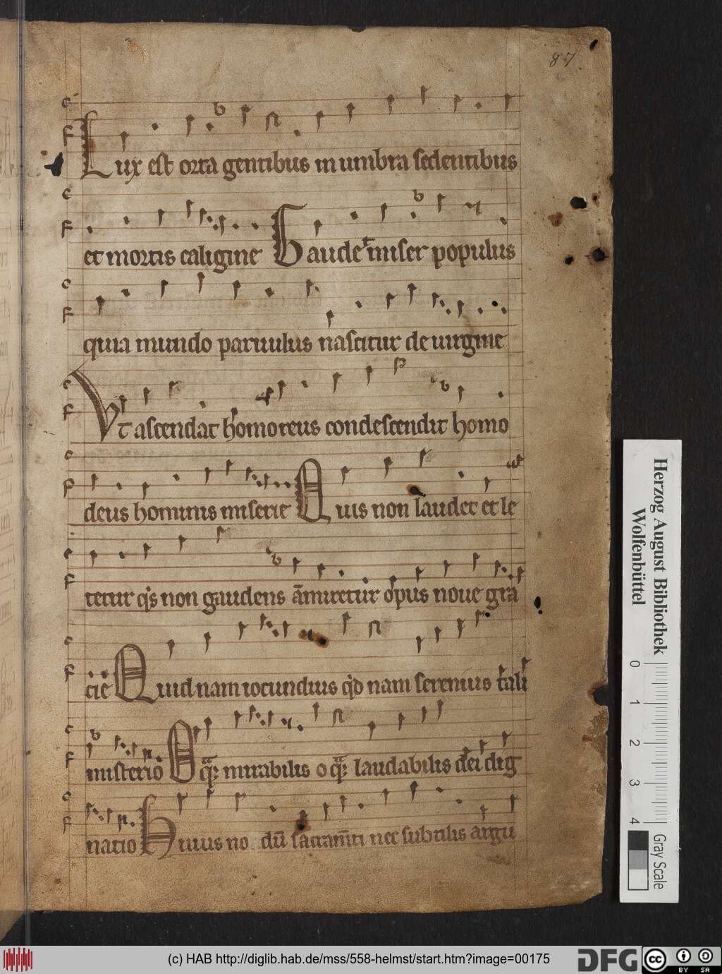 http://diglib.hab.de/mss/558-helmst/00175.jpg