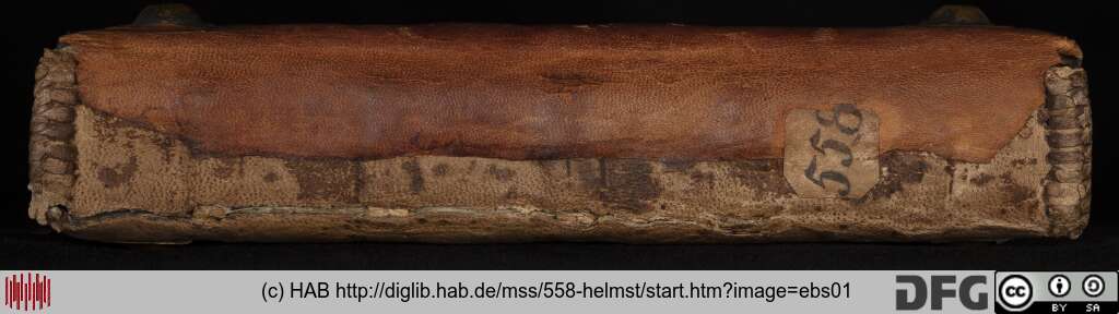 http://diglib.hab.de/mss/558-helmst/ebs01.jpg