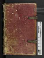 Cod. Guelf. 56.12 Aug. 8° — Biblia latina versionis vulgatae — 14. Jh.