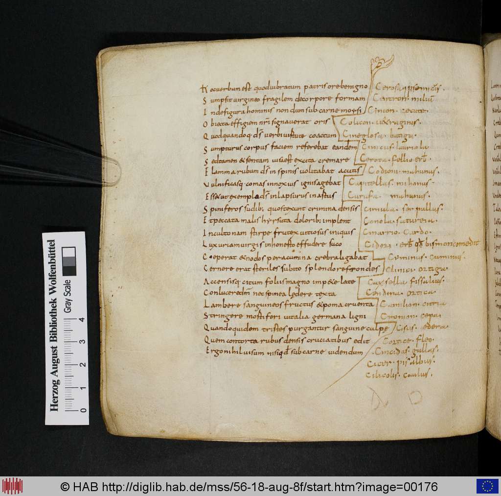 http://diglib.hab.de/mss/56-18-aug-8f/00176.jpg