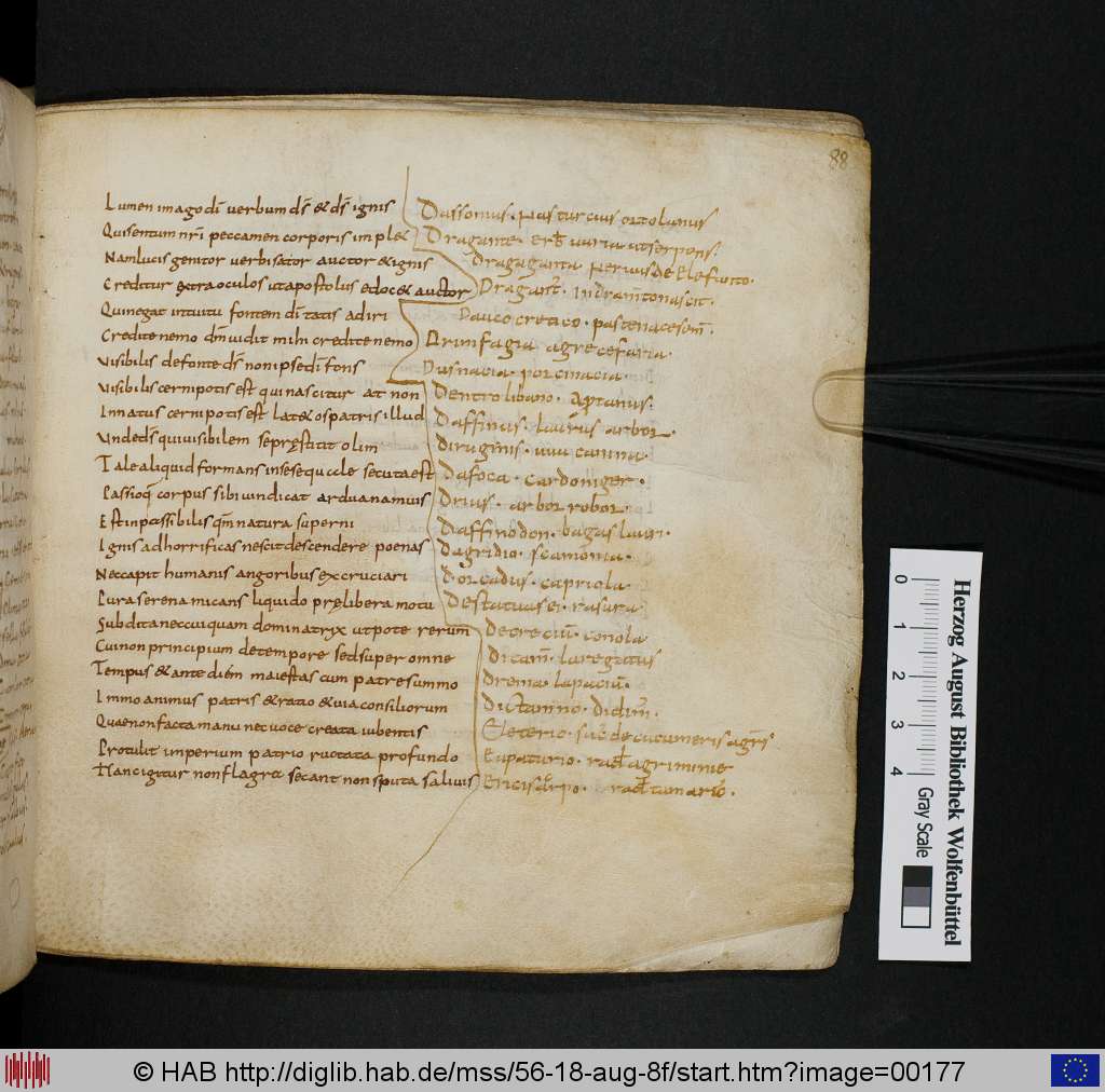 http://diglib.hab.de/mss/56-18-aug-8f/00177.jpg